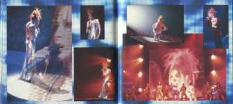 Mylène Farmer Live à Bercy - Livret Double CD Livre Disque Premier Pressage