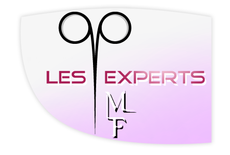 Les experts MF