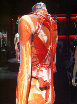 Mylène Farmer Costume Ecorché Jean-Paul Gaultier